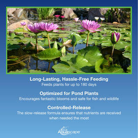 Healthy growth of pond plants after Aquascape treatment in a clear water setting.