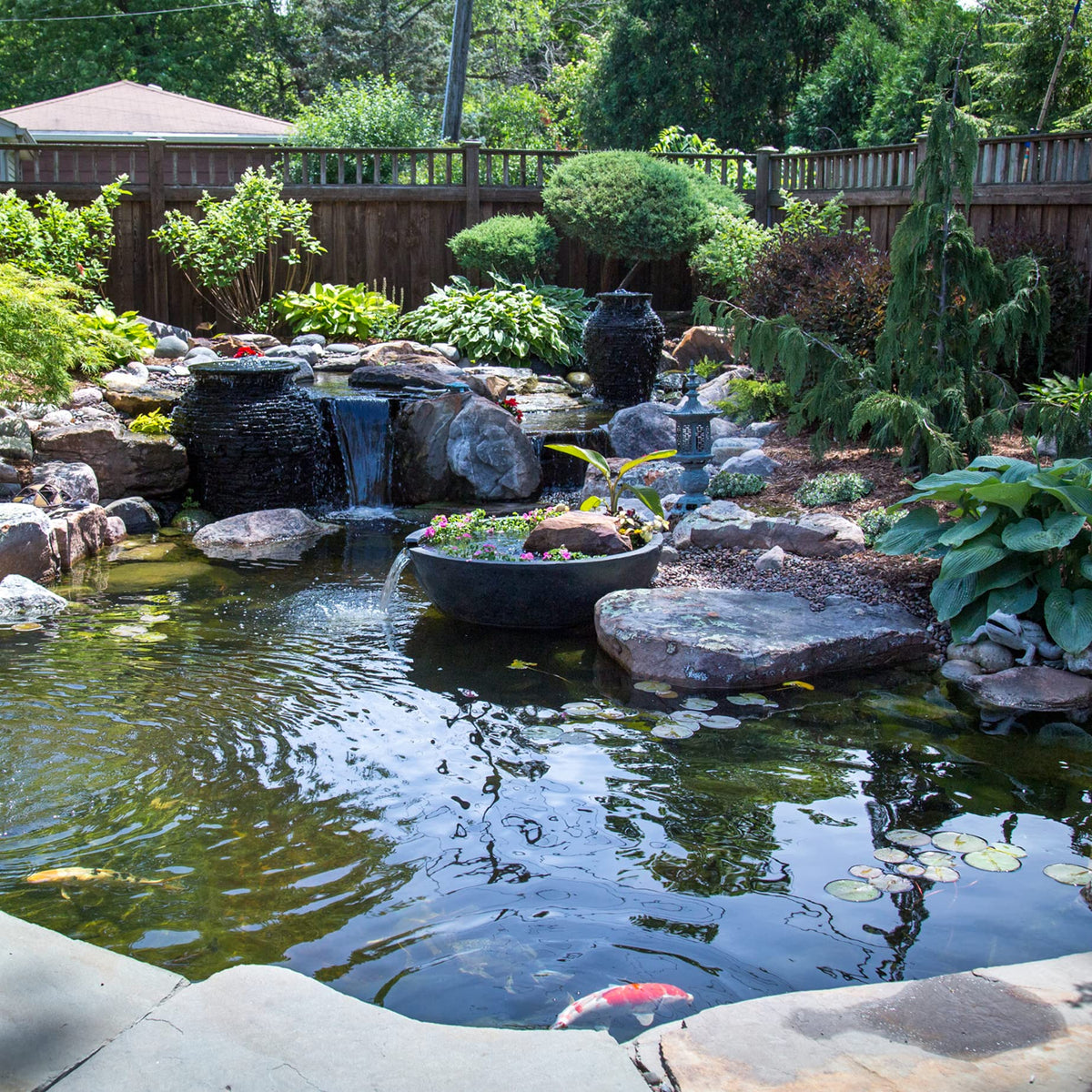 Aquascape pond water clarity example highlights improved visibility and healthier pond details.