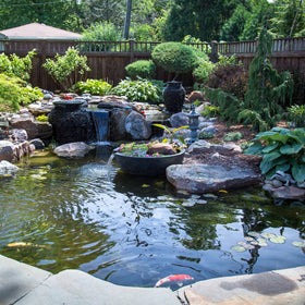 Aquascape pond water clarity example highlights improved visibility and healthier pond details.