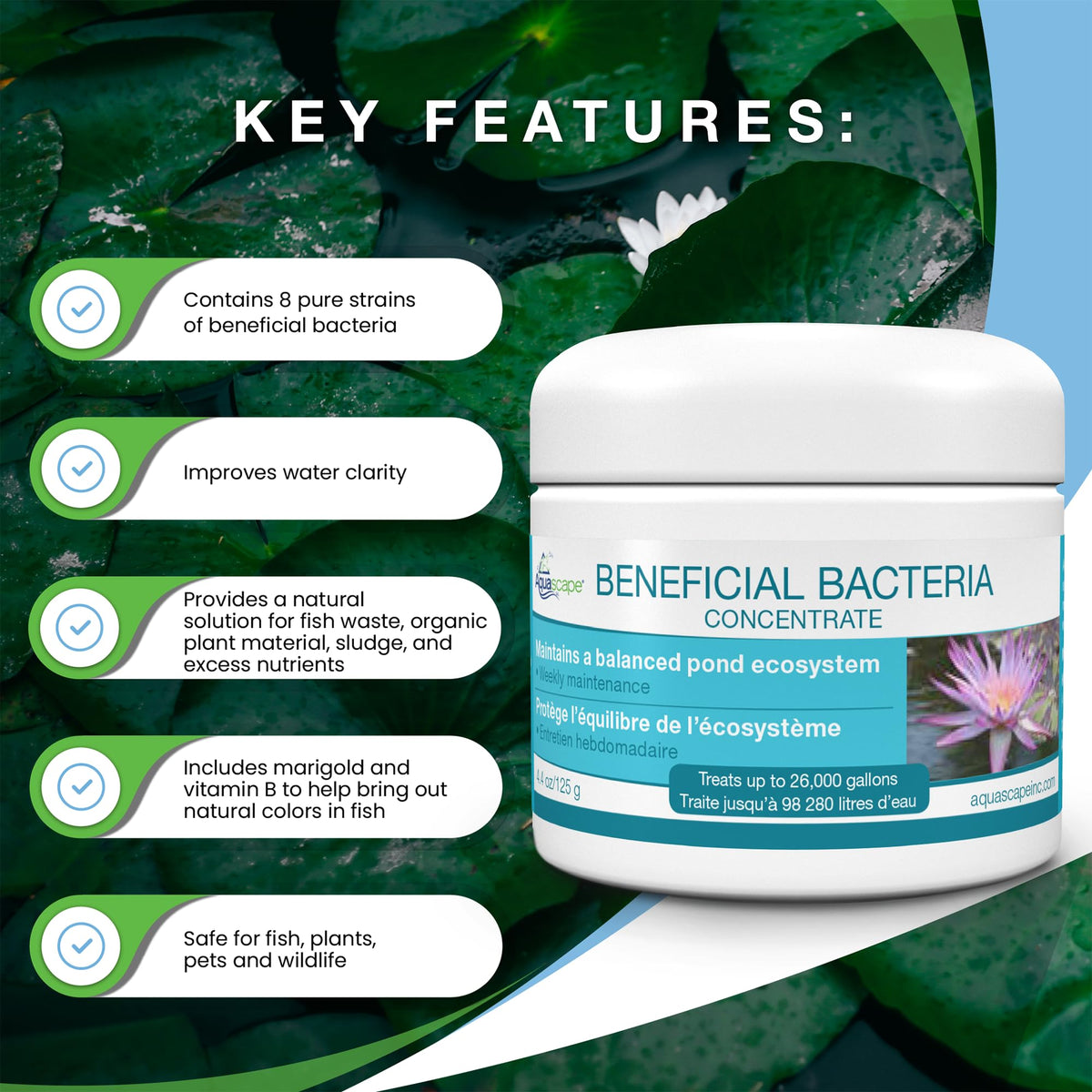 Aquascape PSB bacteria in action clumping debris for faster settlement.