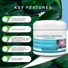 Aquascape PSB bacteria clumping action promotes debris settlement in ponds