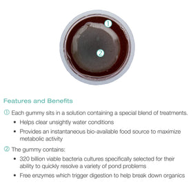 Aquascape QuickFix gummy with slow-release action dissolves gradually for controlled dosing