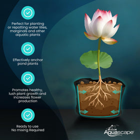 Aquascape nutrient-rich soil demonstrates strong root growth in pond plants.