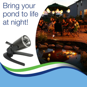 Aquascape night illumination showing soft garden glow along water features.