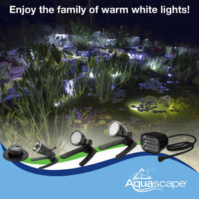 Aquascape spotlight beam highlighting a fountain or stream edge.