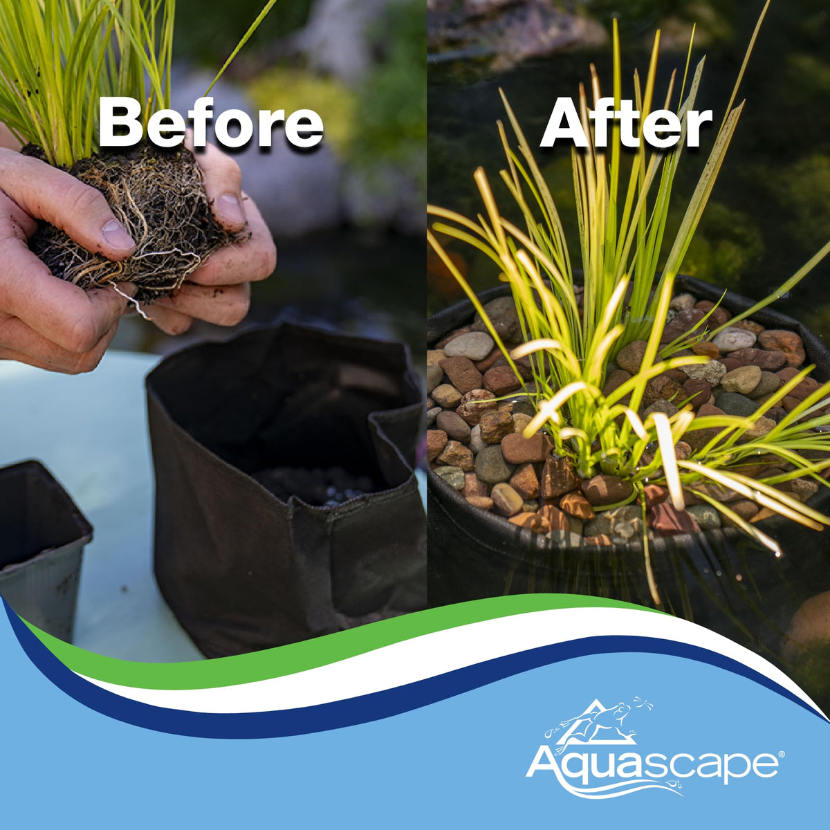 Two-pack planter setup ready for pond planting