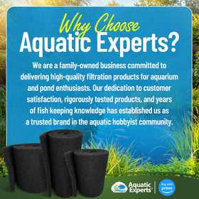 Aquatic Experts pond water clarity with filter media improving visual quality.
