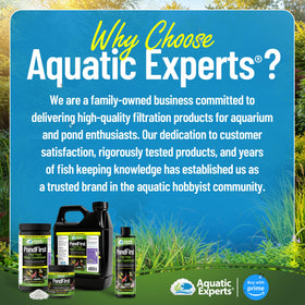 Aquatic Experts PondFirst garden pond scene shows healthy plant life.