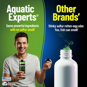 Aquatic Experts PondFirst pond fish scene demonstrates safe water for koi and goldfish.
