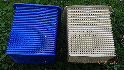 Aquatix Pro Hayward pump basket in use during pool maintenance