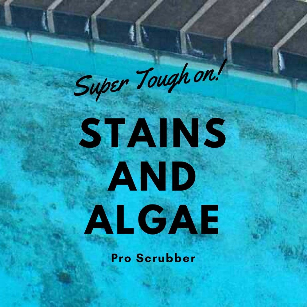 Aquatix Pro steps and walls cleaning along pool perimeter and pathways.