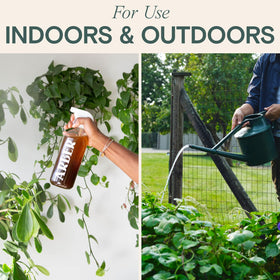 ARBER Organic Fungicide lawn disease control for even, healthy turf.