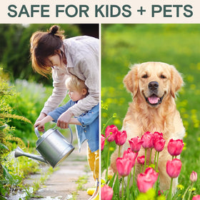 ARBER Organic Insecticide Liquid Concentrate after nursery runs keeping potted plants vibrant