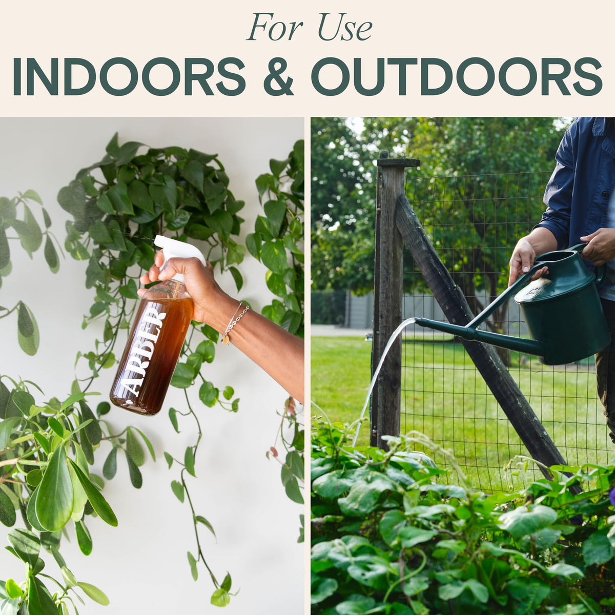 ARBER Organic Insecticide Liquid Concentrate used on houseplants indoors for swift pest suppression