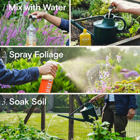 ARBER Organic Insecticide Liquid Concentrate root area irrigation supports plant resilience