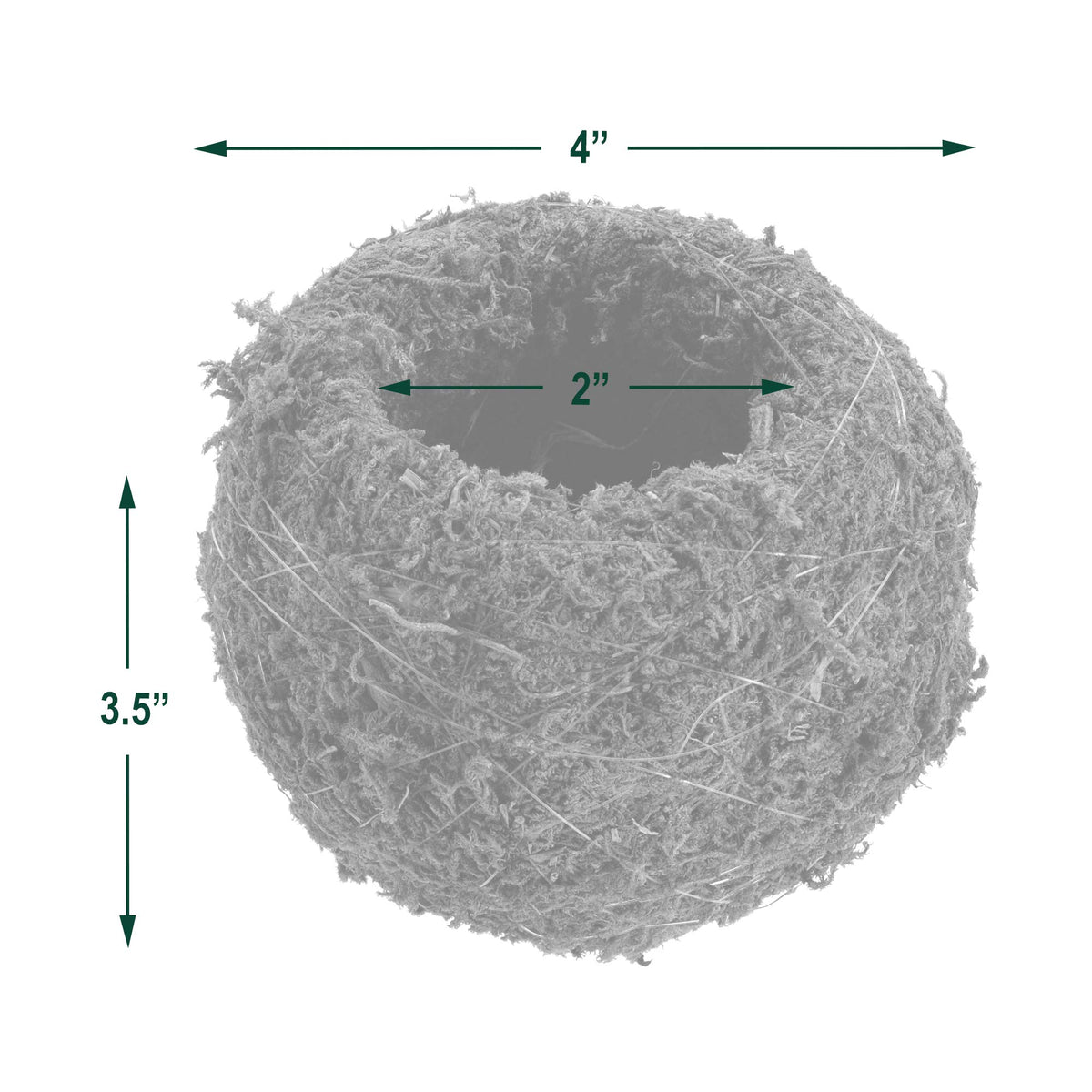 Arcadia KO01-2 kokedama indoors or outdoors on table or shelf.