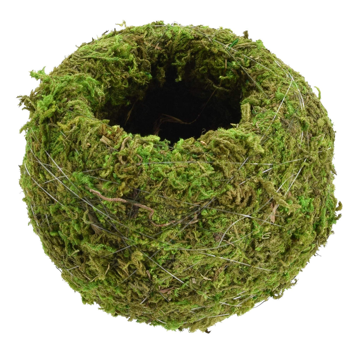 Arcadia kokedama metal-frame moss ball shows durable spherical structure.