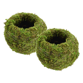 Arcadia KO01-2 kokedama moss ball planting setup for easy home gardening.