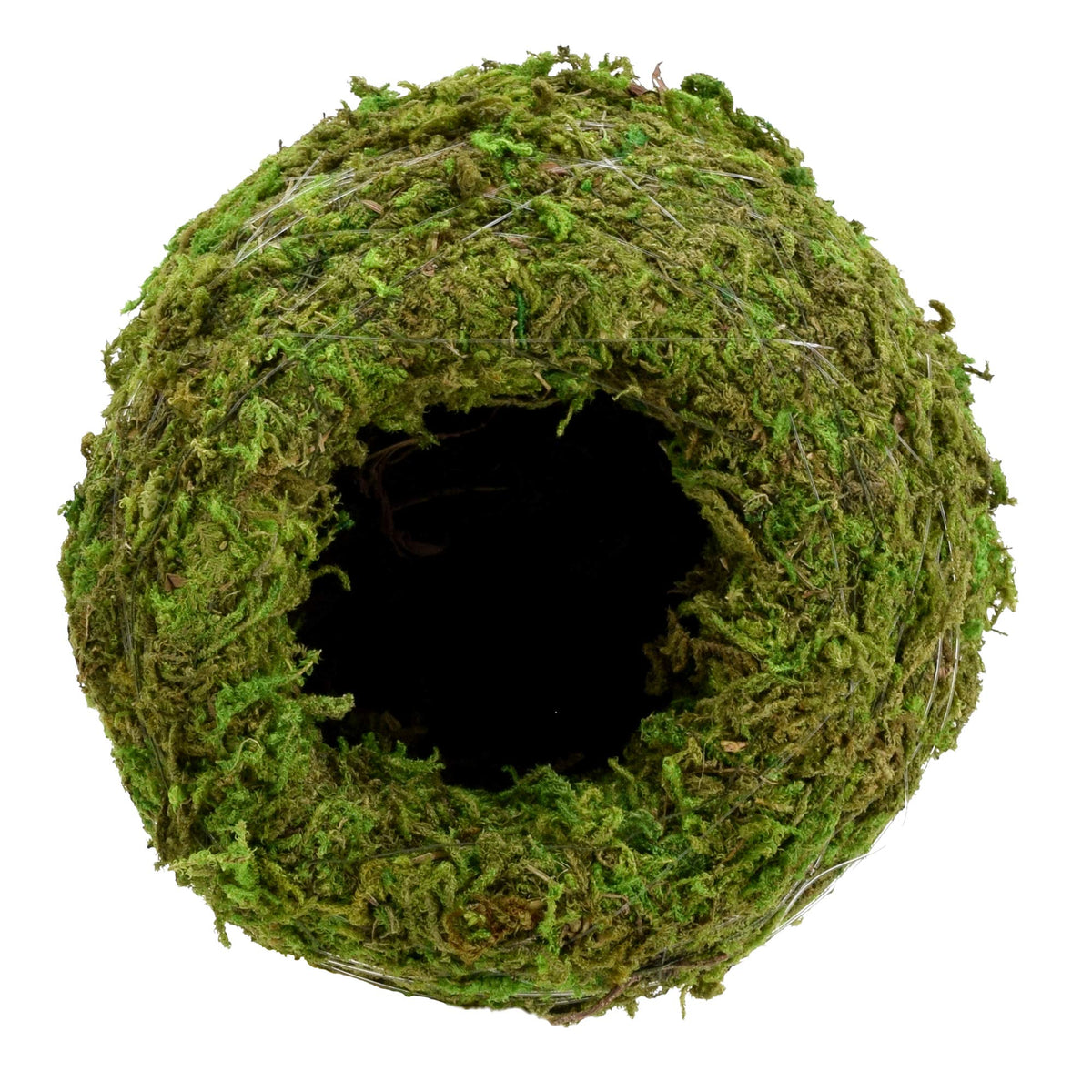 Arcadia KO01-2 kokedama closeup of preserved moss and green texture.