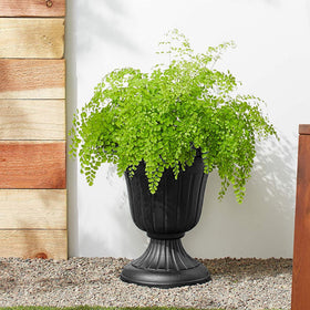 Arcadia PL10BK durable plastic construction withstands weather and UV exposure.