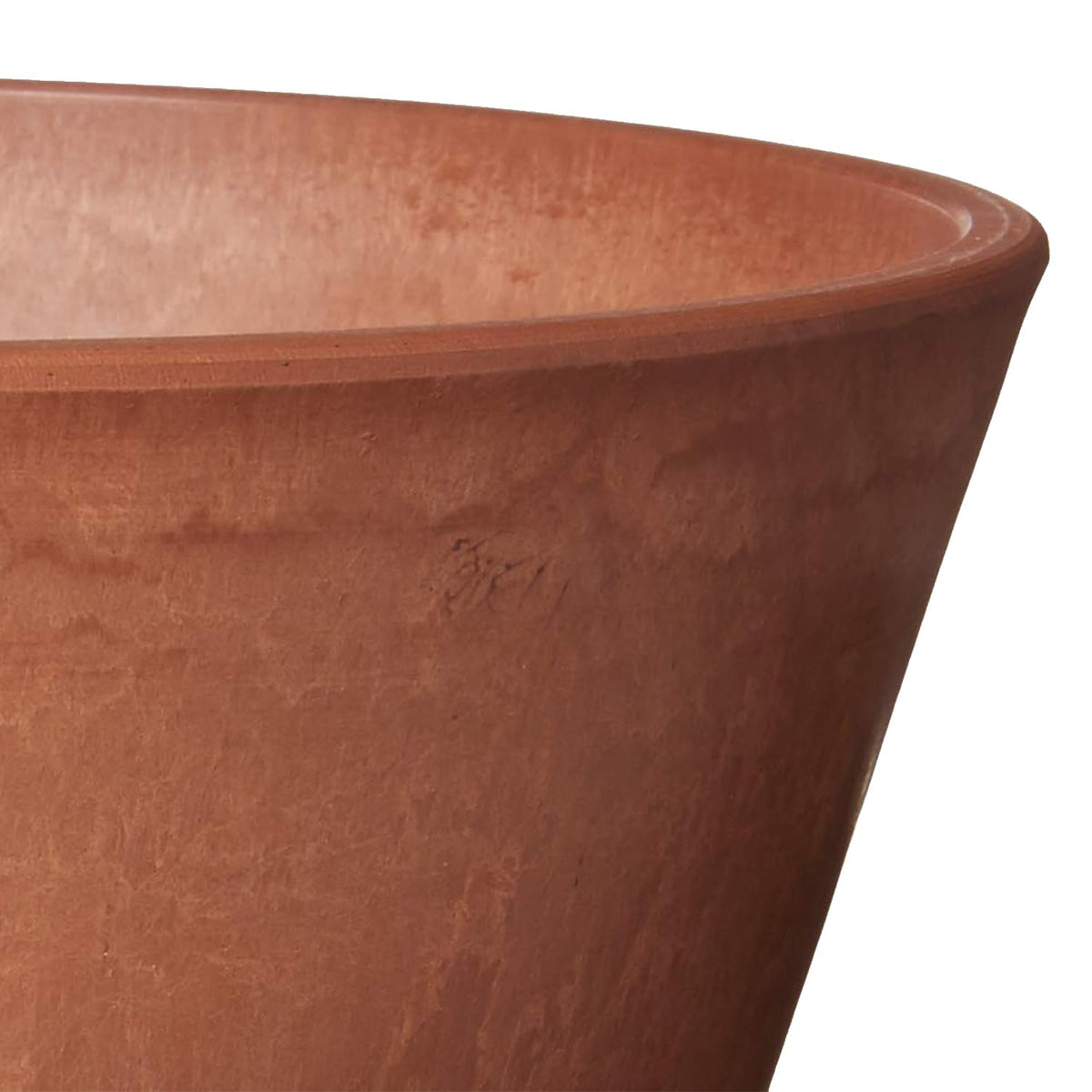 Arcadia PSW bonsai-ready bulb pan supports light, breathable root growth.
