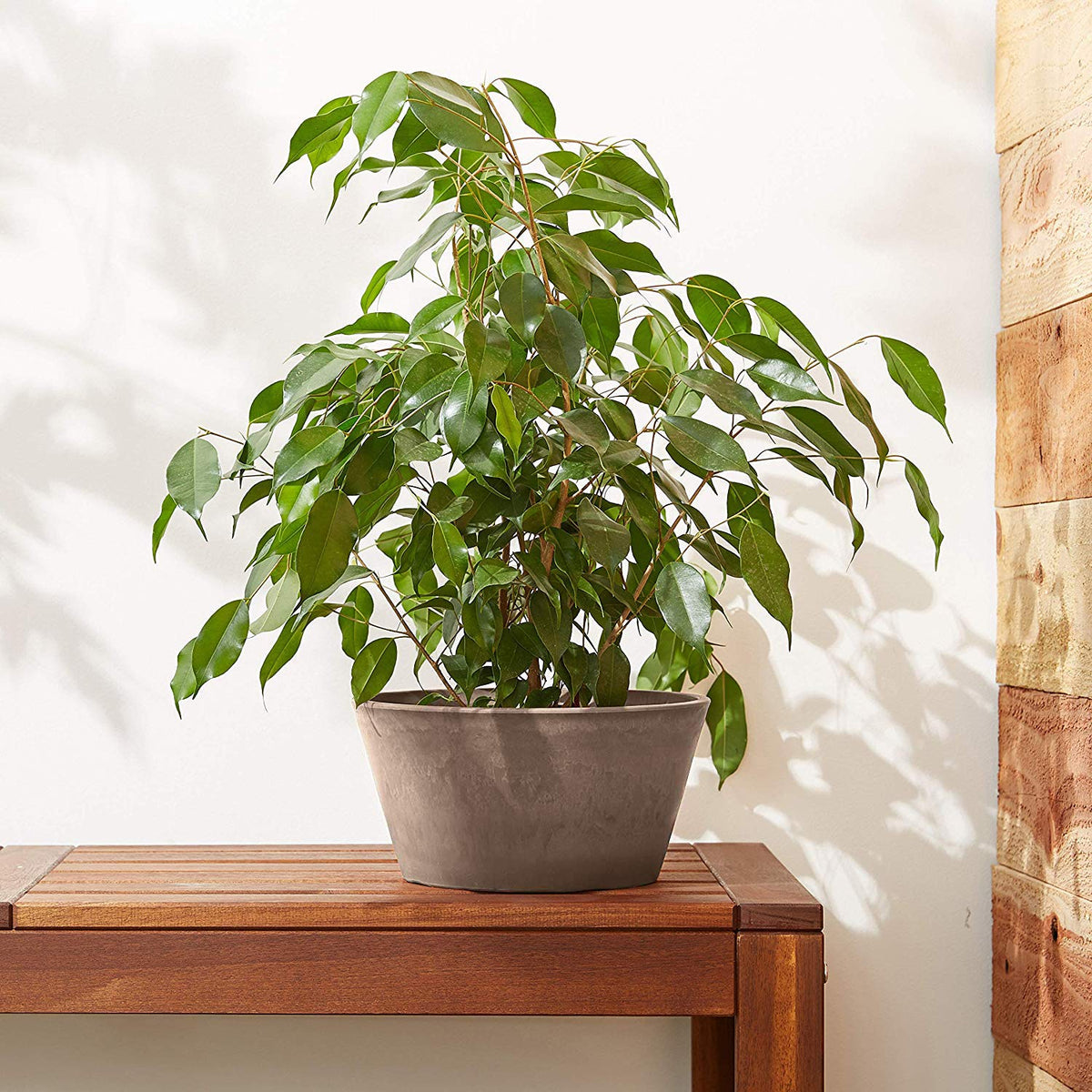 Arcadia PSW indoor/outdoor taupe planter for versatile decorative projects.