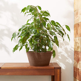Arcadia PSW planter suitable for indoor and outdoor use in a weather-resistant design.