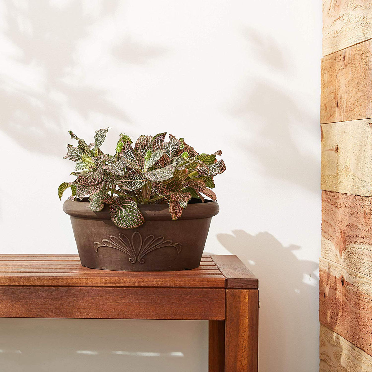 Arcadia PSW TA30C bulb pan with succulents demonstrates versatile planting options