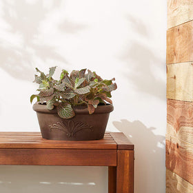 Arcadia PSW TA30C bulb pan with succulents demonstrates versatile planting options