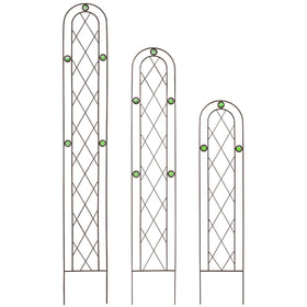 Arcadia TR01 emerald-series arch design adds structure and style to garden borders