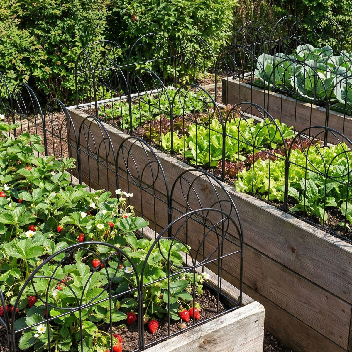 Arcticbird easy-maintenance garden fence enhances border organization