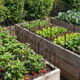 Arcticbird easy-maintenance garden fence enhances border organization