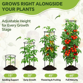 ArdeFentium 360-degree windproof trellis provides stable plant support from all sides.