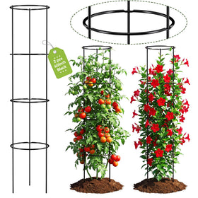 ArdeFentium 60-Inch tomato cages assembly shows quick setup for sturdy support.