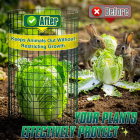 ArdeFentium versatile garden protection for vegetables and shrubs.