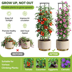 ArdeFentium stackable 60-inch trellis extends as plants grow taller.