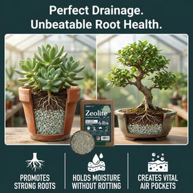 Arden Line bonsai soil with zeolite demonstrates root-friendly porosity and water balance.