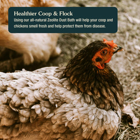 Coop setup with ARDEN LINE dust bath scoop for convenient sessions.