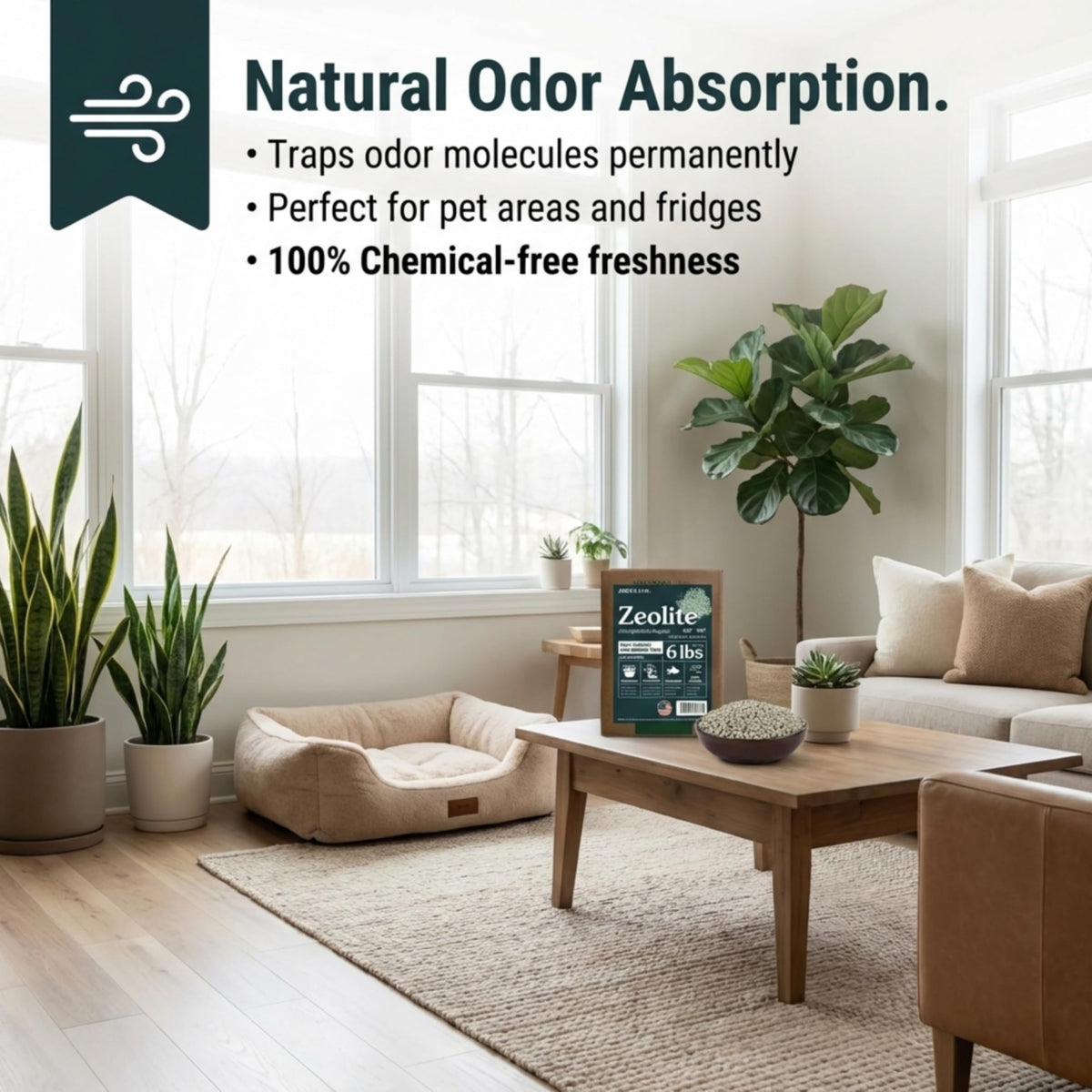 Arden Line zeolite aiding household odor control by absorbing moisture in spaces.