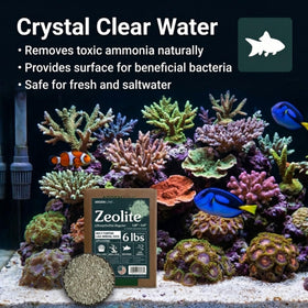 Arden Line succulent top-layer zeolite for drainage and decorative finish in planters.