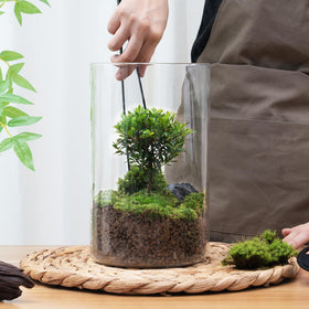 AREPK aquarium and terrarium display as a dual-purpose modern office accent.