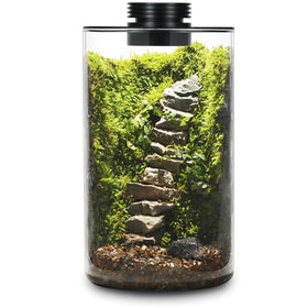 AREPK desktop glass terrarium with grow light, front view for easy desk plant care.