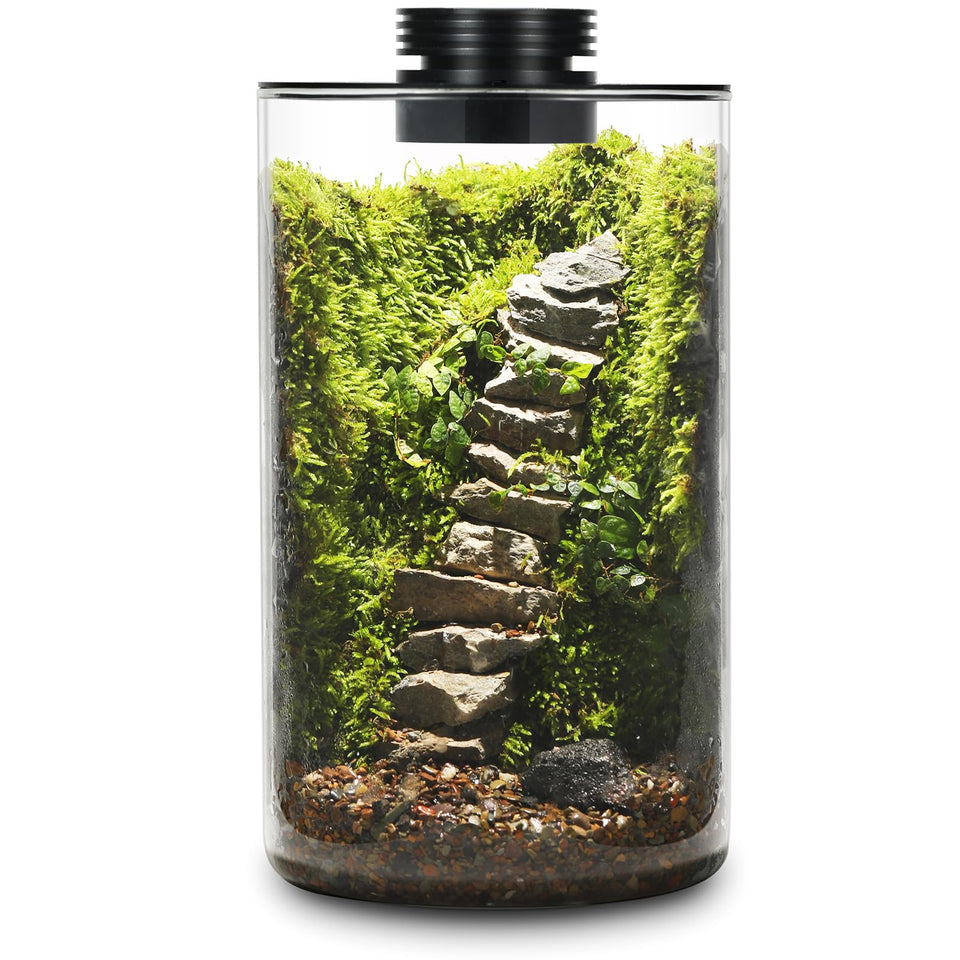 AREPK desktop glass terrarium with grow light, front view for easy desk plant care.