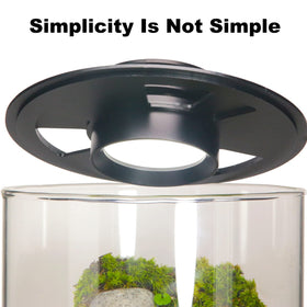AREPK terrarium interior view with clear visibility of plants inside.