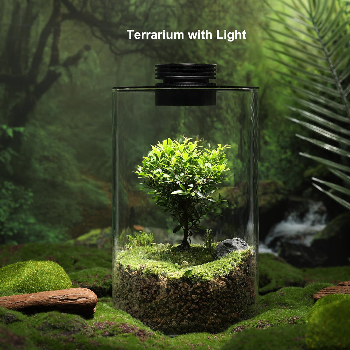 AREPK terrarium viewed from the side, showcasing compact, elegant design.