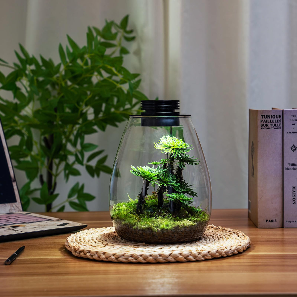 AREPK terrarium humidity control helps plants thrive in compact space