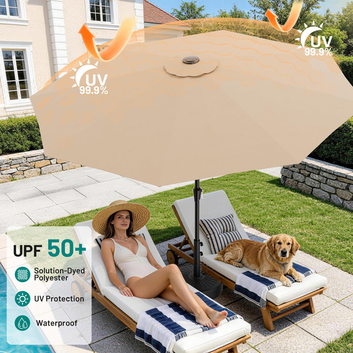 AreShark vented double-layer canopy improves airflow and stability.