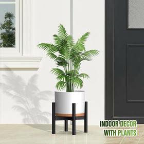 Areutxbis pots suitable for both indoor and outdoor spaces