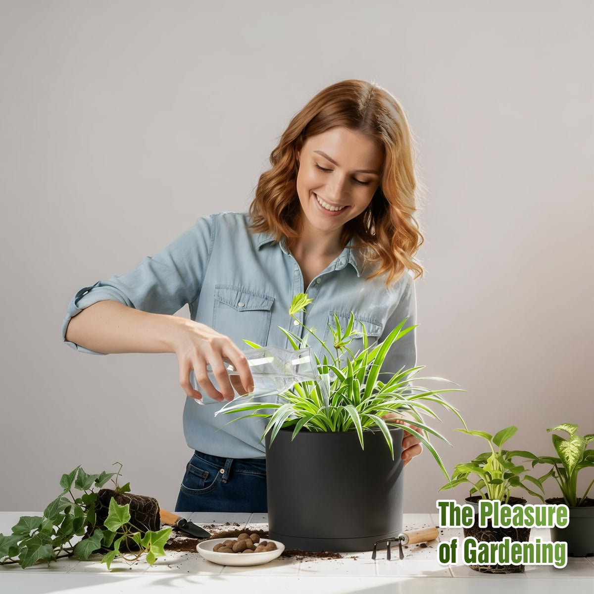 Areutxbis planters with Monstera and lush foliage in a bright indoor setting.