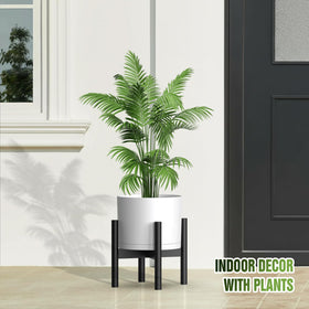 Areutxbis monstera and snake plant setup in stylish indoor-outdoor space.